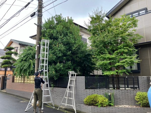 横浜市青葉区S様邸　240171　樹木剪定